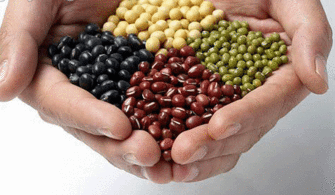 八大補腦營養(yǎng)食品排行 圖