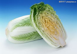 水果蔬菜0120 水果蔬菜圖 水果食品圖庫