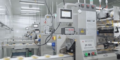 數(shù)字賦能 黨企共融——友臣食品黨支部以信息技術(shù)開發(fā)爭創(chuàng)“五優(yōu)”新篇章